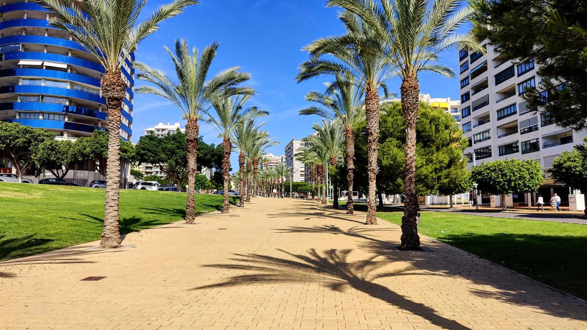 בנידורם Cala Alta Relax Apartment מראה חיצוני תמונה